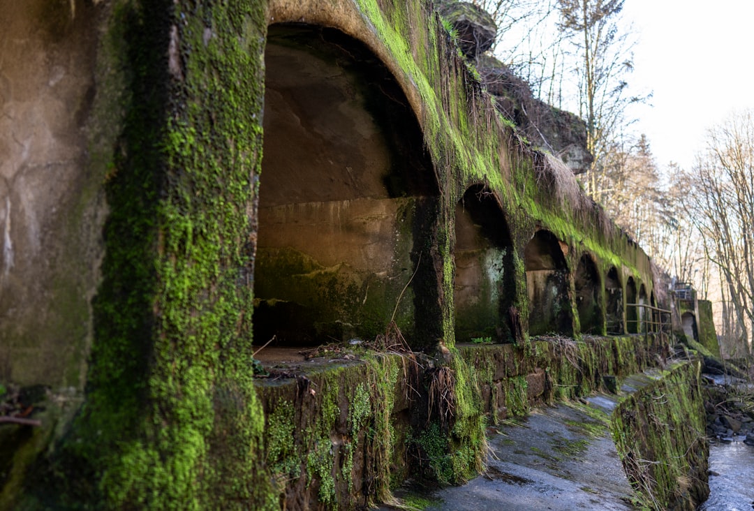 Użytkowanie elektrowni wodnych: wykorzystanie potencjału wodnego